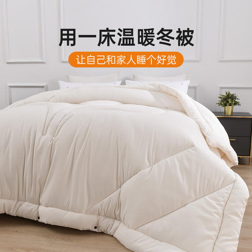 雅芳婷冬季柔暖冬被被子冬天加厚保暖秋冬被芯冬被床品 商品图1