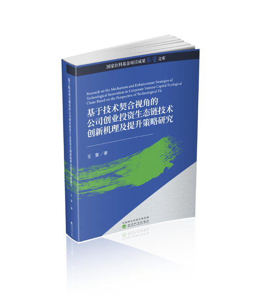 基于技术契合视角的公司创业投资生态链技术创新机理及提升策略研究 商品图0