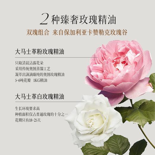 【水油水高配】茶语玫瑰精华油搭配大马士革白玫瑰精露 高阶护肤紧致抗皱 商品图3