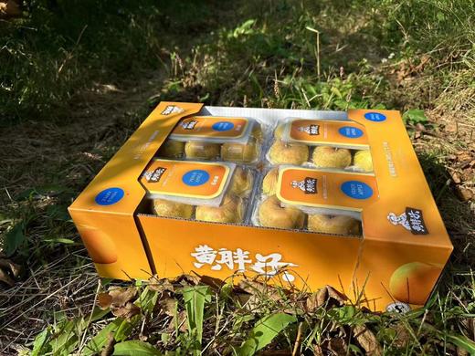 黄胖子维纳斯苹果一盒 商品图3