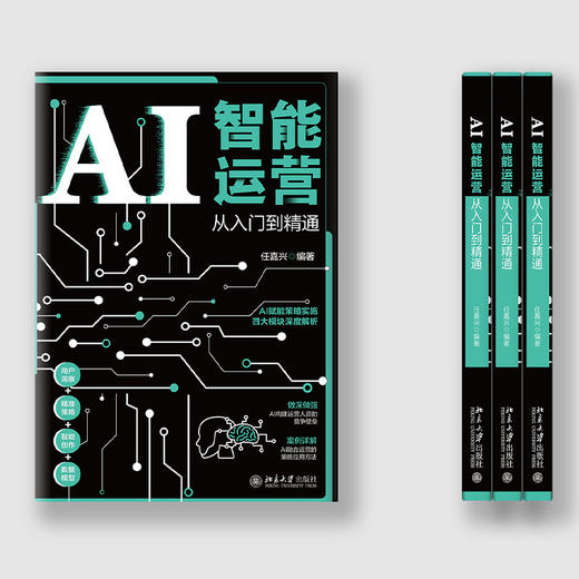 AI智能运营从入门到精通 任嘉兴 编著 北京大学出版社 商品图2