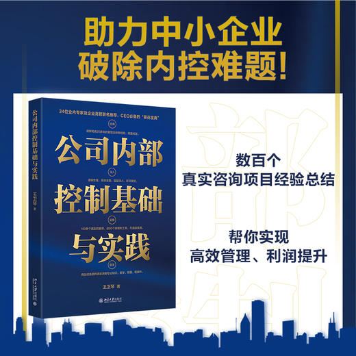 公司内部控制基础与实践 王卫琴 著 北京大学出版社 商品图1