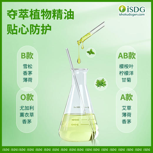 绕着飞植物精油贴（无纺布材质）36贴/盒 商品图2