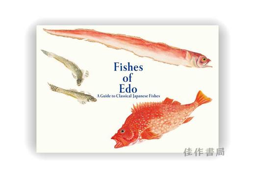 Fishes of Edo / 美し、をかし、和名由来の江戸魚図鑑 / 江户的鱼 商品图0