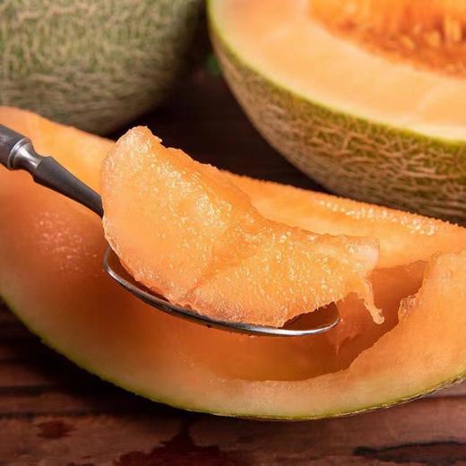 【海南好物】海沙蜜瓜  4.5斤/8斤 商品图0