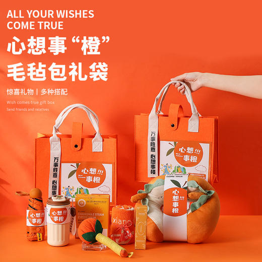 心想事橙毛毡包伴手礼 商品图0