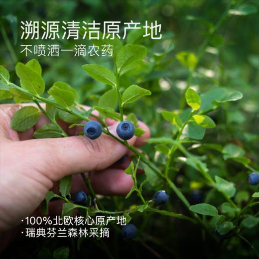 【恒温萃取】北欧 越橘蓝莓粉 5g*14袋*1盒 清洁加工自然配比 商品图1