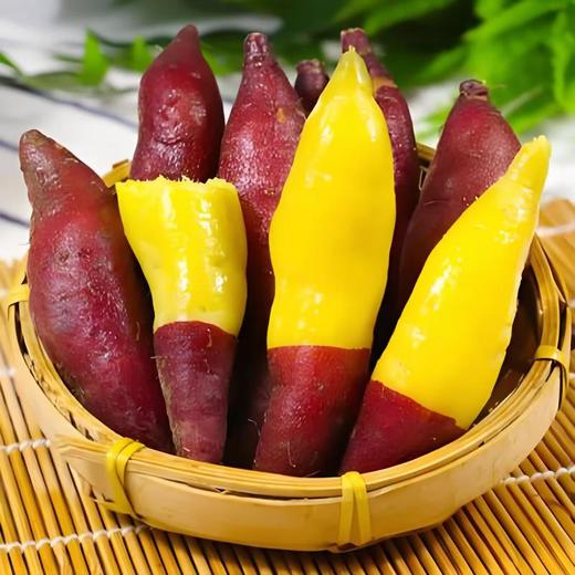 有机红薯 500g/份 商品图0