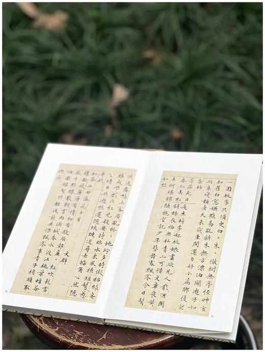 历代法帖精粹：《文徵明小楷两种》
出版：浙江古籍出版社
版次：2022年5月第1版第1次印刷
书号：9787554022061
定价：480元
售价：120元。
装帧：布面精装，宣纸印刷，单面，经折装 商品图4