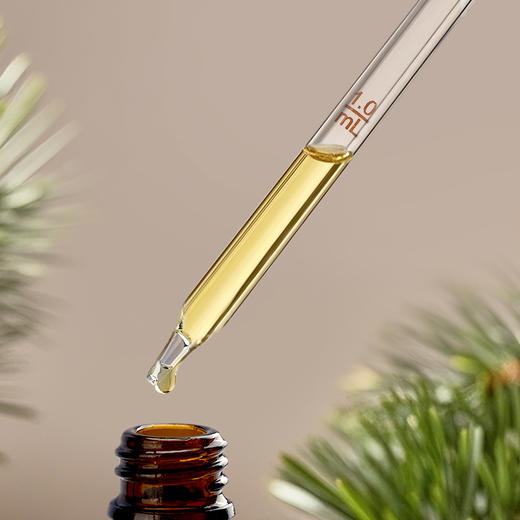 全食物日记 松籽油100mL 商品图3