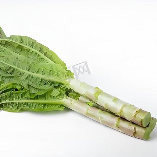 高山莴笋 500g/份 商品图0