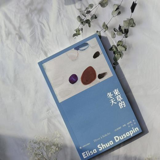 束草的冬天 故事群岛 [法]埃莉萨·秀雅·迪萨潘 著 狄佳 译 罗伯特·瓦尔泽奖 法韩混血女作家首作 女性主义 上海译文出版社 商品图2