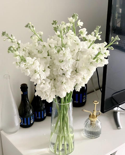 【永恒的爱】紫罗兰（多色可选）约10支/扎 商品图2