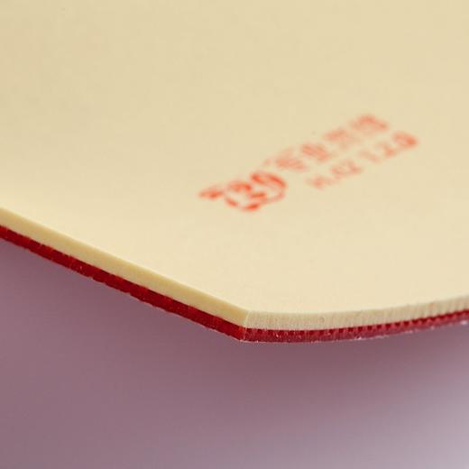 友谊729 天翼套胶 乒乓球拍胶皮反胶 商品图2