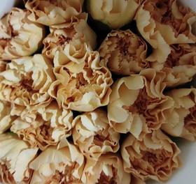 单头康乃馨 | 柠檬柑橘