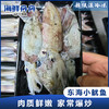 【野生】东海小鱿鱼 商品缩略图0