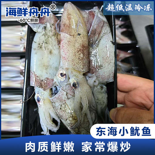 【野生】东海小鱿鱼 商品图0