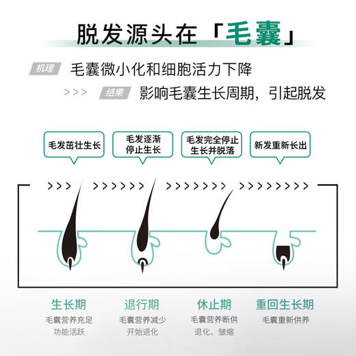 域发植优研防脱滋养洗发露洗发水300ml 防脱发腺苷固发 商品图2