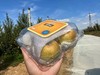 黄胖子维纳斯苹果一盒 商品缩略图0