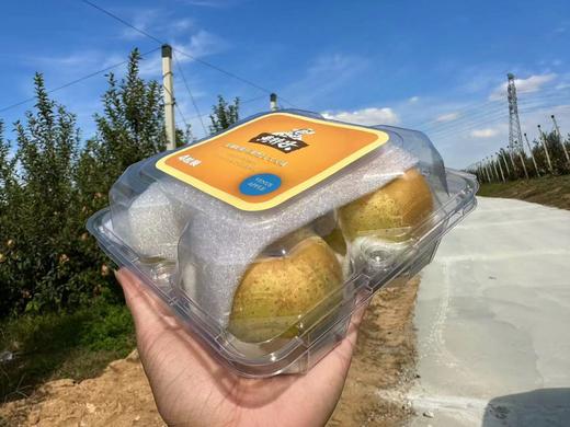 黄胖子维纳斯苹果一盒 商品图0