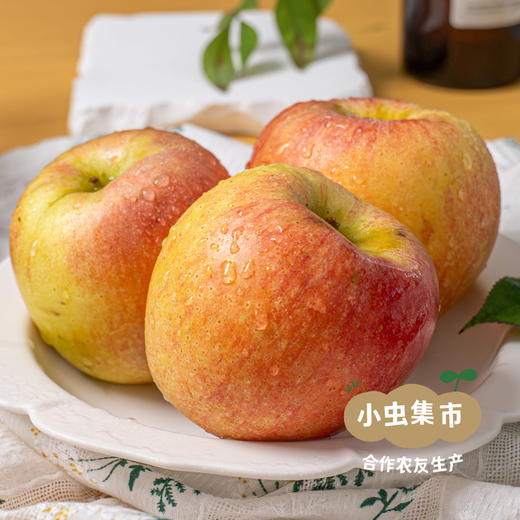 生态满满苹果 4-4.5斤| 合作农友生产，产自山东烟台，生产者：李立君 *【公平贸易农人定价】 商品图1