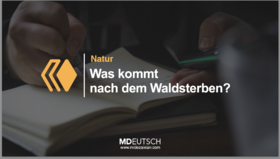 67.【自然】森林消亡之后会发生什么（MP3）