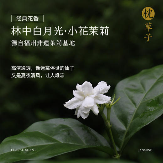 枕草子【沉香茉莉】随身香2.0升级版 东方香韵， 清冷，优雅，中性调氛围香 商品图2