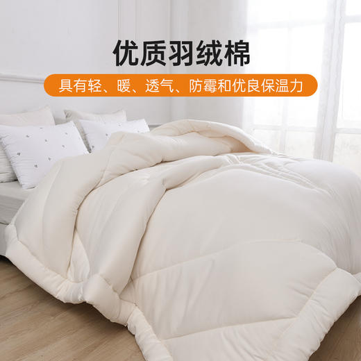 雅芳婷冬季柔暖冬被被子冬天加厚保暖秋冬被芯冬被床品 商品图2