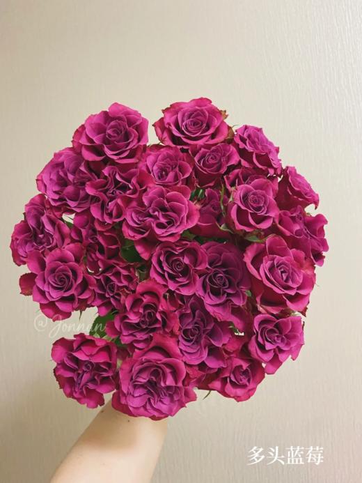 精品花材多头蓝莓玫瑰花10支 商品图1