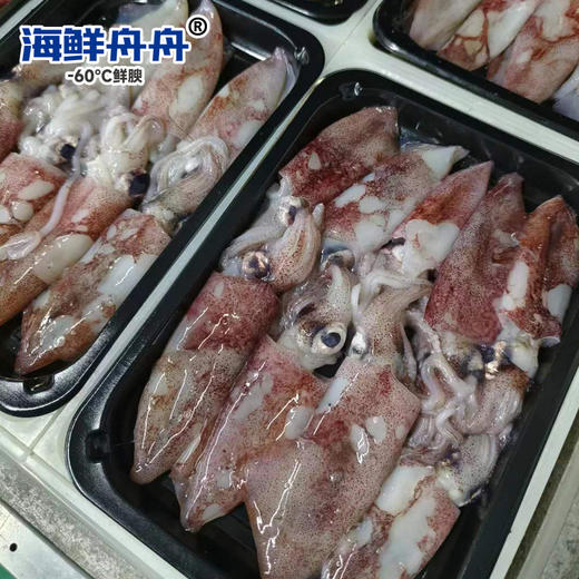 【野生】东海小鱿鱼 商品图2