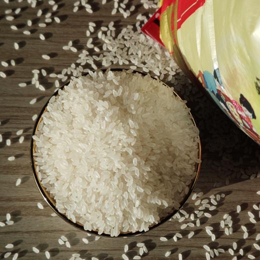 五常长粒香大米【2024年新米】 商品图2