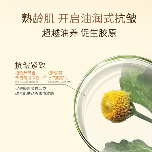 KOSSME蔻诗弥 时光臻颜奢养精华油15ml 商品图1