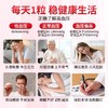 AFC血压进口平衡片gaba中老年心脑保健品血管稳血压健康血脂 商品缩略图3