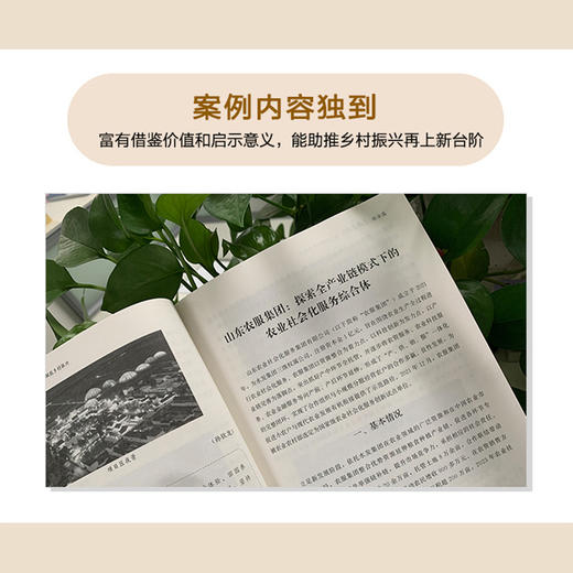 数字化赋能乡村振兴 商品图2