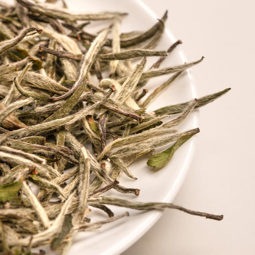 福建政和白茶白毫银针 商品图4