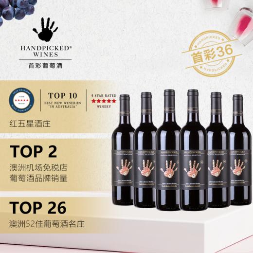 首彩 赤霞珠梅洛红葡萄酒 750ml 1/6 红五星级酒庄 商品图3