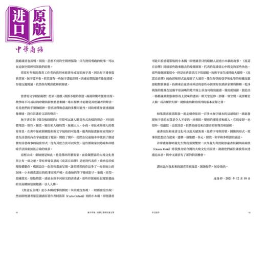 【中商原版】无字奇境 安静之书与儿童文学 港台原版  玛伽拉 特鲁斯  大块文化 商品图2