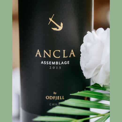无花果玫瑰黑巧 | 智利莫莱谷 | 安可拉红葡萄酒 ANCLA Assemblage 2015 商品图3