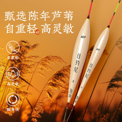 佳钓尼新款芦苇漂高灵敏轻口鲫鱼漂芦苇浮漂加粗超醒目浮漂鱼漂 商品图1