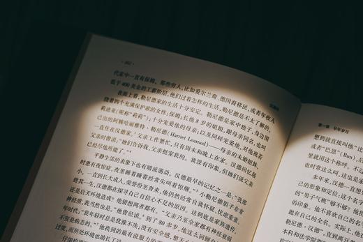 非签名本丨《汉德传：传奇法官和他的裁判》丨麦读译丛 商品图12