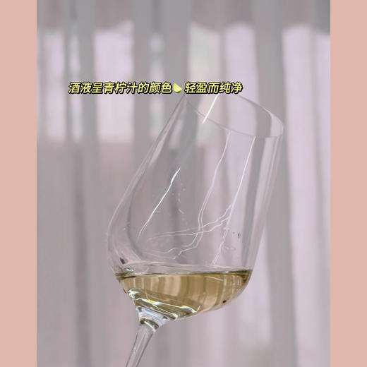 柑橘芭乐奶油冰 | 智利卡萨布兰卡谷 | 安可拉特级珍藏长相思干白葡萄酒 ANCLA Gran Reserva Sauvignon Blanc 2020 商品图4