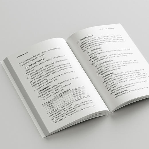 公司内部控制基础与实践 王卫琴 著 北京大学出版社 商品图4