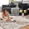 自然醒轻奢时髦拉波尔地毯高定轻奢扎染格纹条纹地毯客厅沙发卧室床边地垫防滑脚垫MT 商品缩略图11