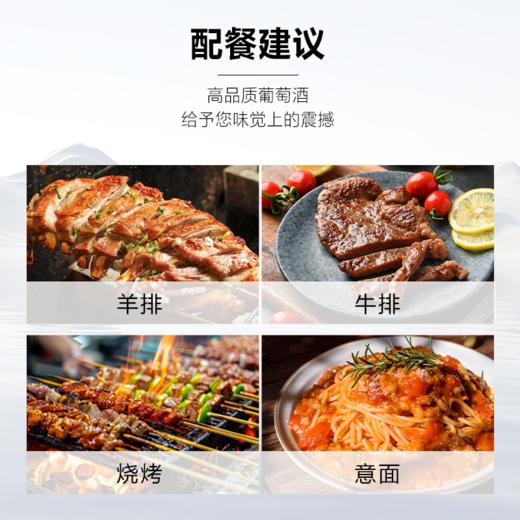 【第二件0元】首彩 88精选金标西拉红葡萄酒750ml 购满1111元送醒酒器1个 商品图3