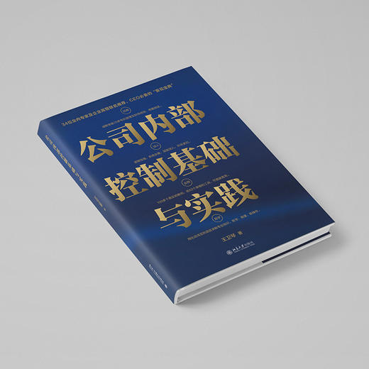 公司内部控制基础与实践 王卫琴 著 北京大学出版社 商品图2