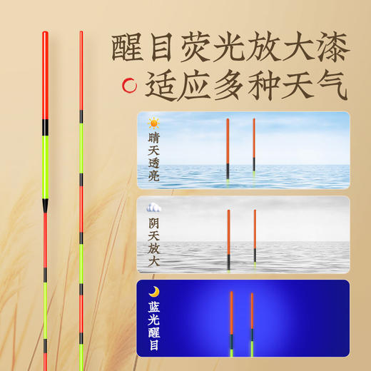 佳钓尼新款芦苇漂高灵敏轻口鲫鱼漂芦苇浮漂加粗超醒目浮漂鱼漂 商品图4