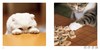 Cat Paws / ねこのおてて/ 猫爪 商品缩略图4