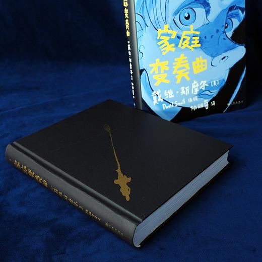 【特价漫画】家庭变奏曲（美）戴维·斯摩尔 编绘 商品图2
