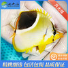 月光蝶Chaetodon ephippium 商品缩略图1