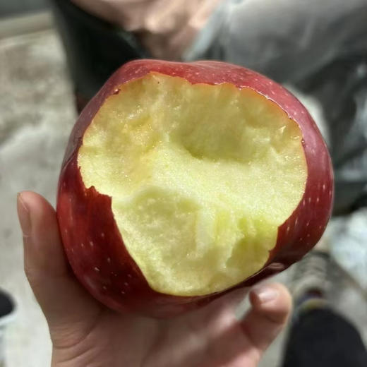 【黑钻花花牛苹果🍎】老人，小孩子的爱，稍微放放口感面粉，软糯香甜，越放会越好吃，非常适合/送长辈/宝宝辅食！ 商品图4